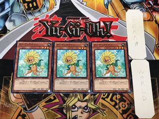 ダンディライオン 2 ノーマル 3枚セット てら