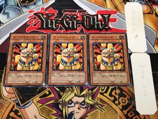 Neko Mane King 2 Normal, set of 3 Tera