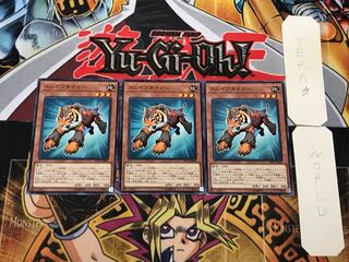 Test Tiger 2 Normal, set of 3 Tera.