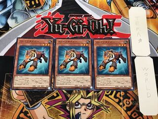 Test Tiger 3 Normal Set of 3 Tera