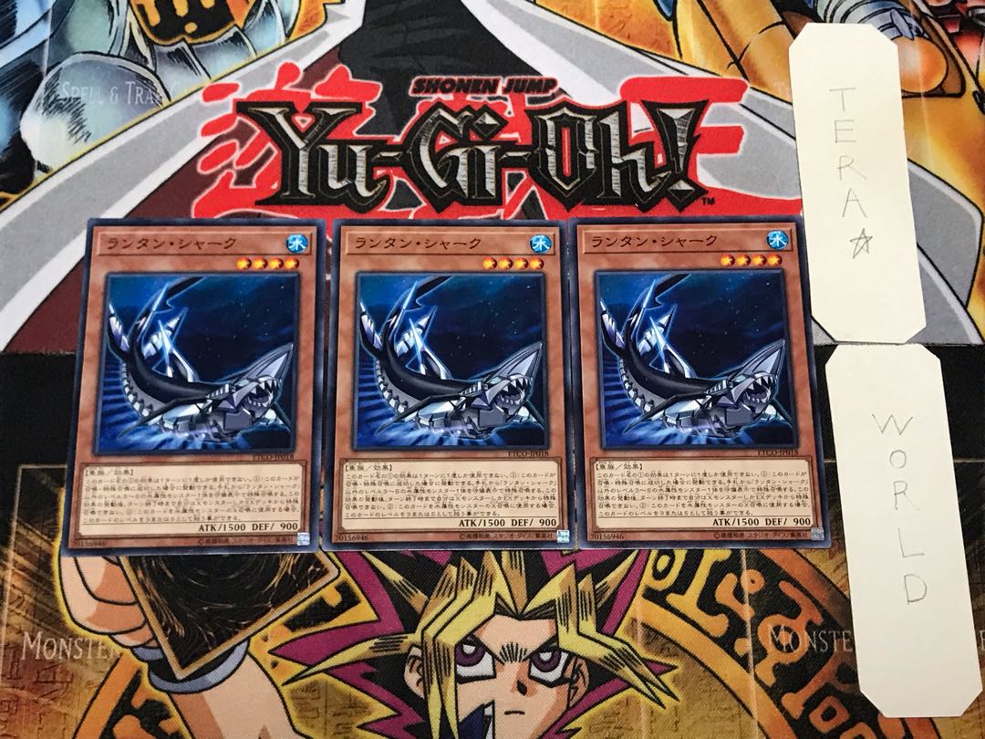 Lantern Shark 2 Normal, set of 3 Tera