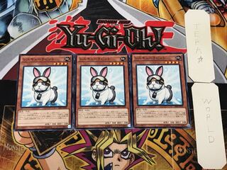 Rescue Rabbit2 Normal, Set of 3, Terra