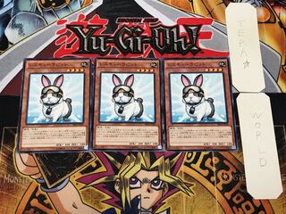 Rescue Rabbit 3 Normal 3-Piece Set Terra