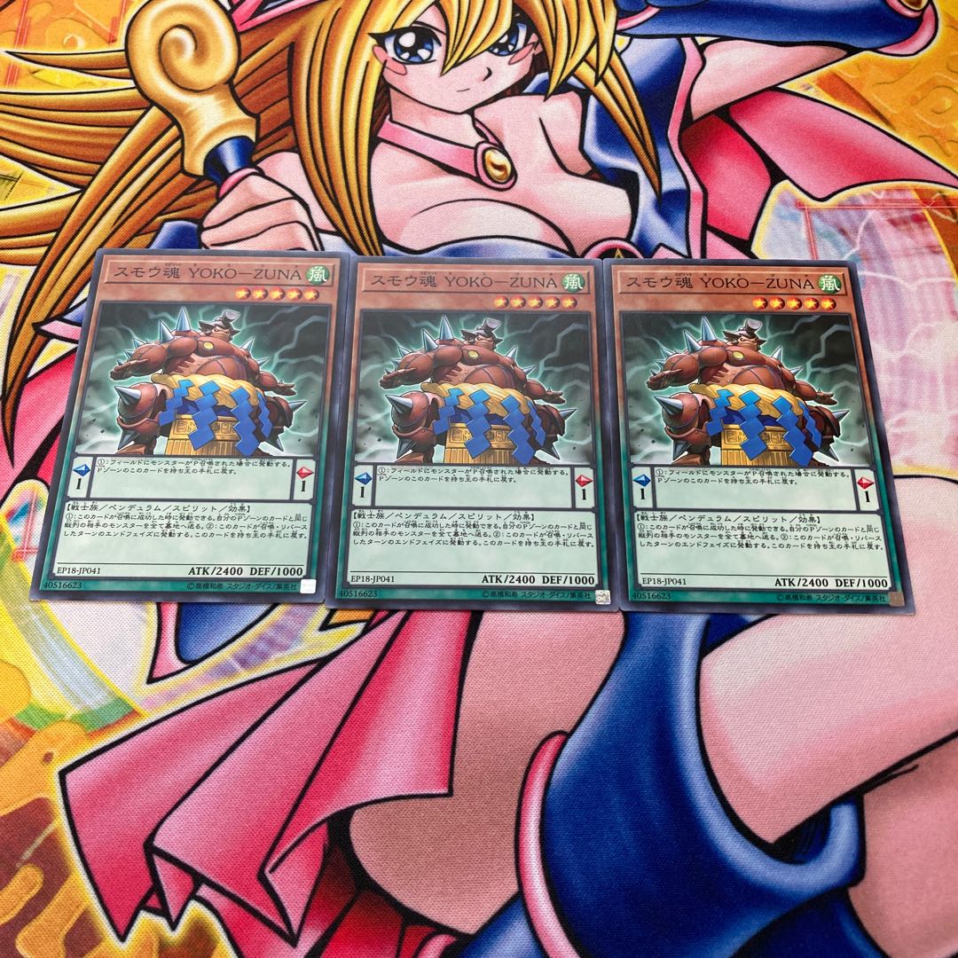 スモウ魂 YOKO-ZUNA