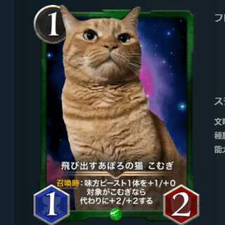 飛び出すあぽろの猫 こむぎ 2枚セット