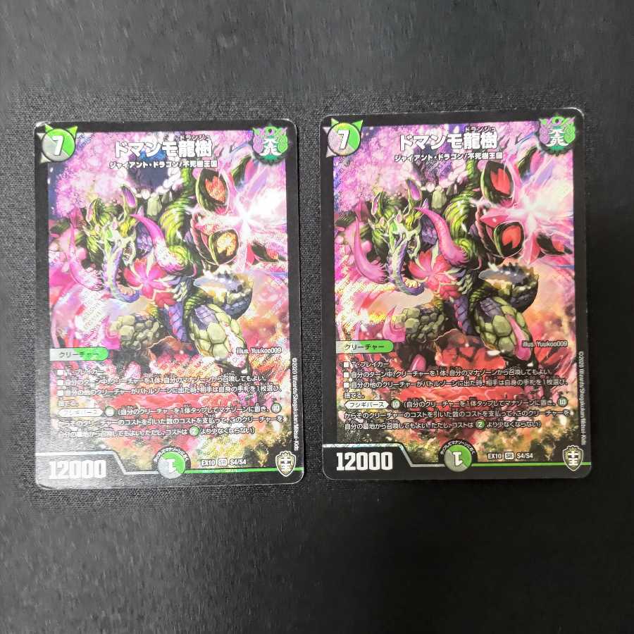 ドマンモ龍樹 2枚セット