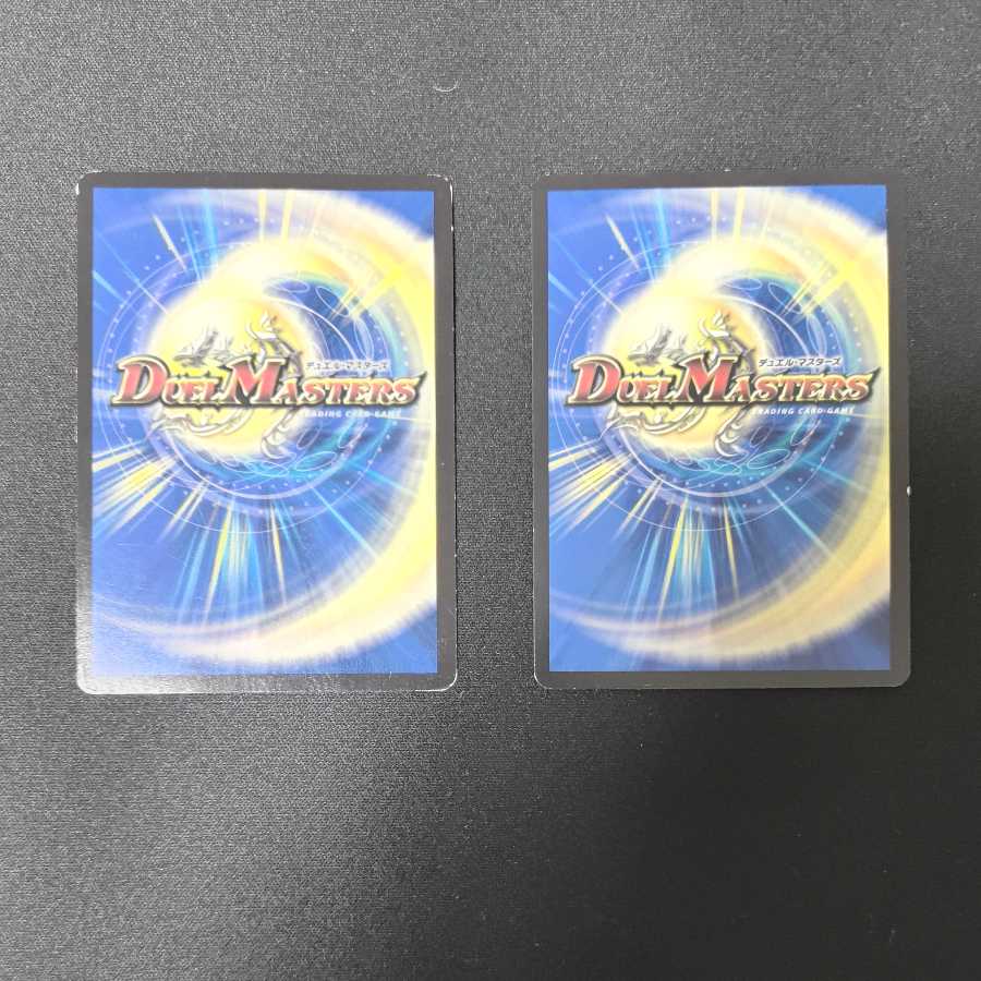 ドマンモ龍樹 2枚セット