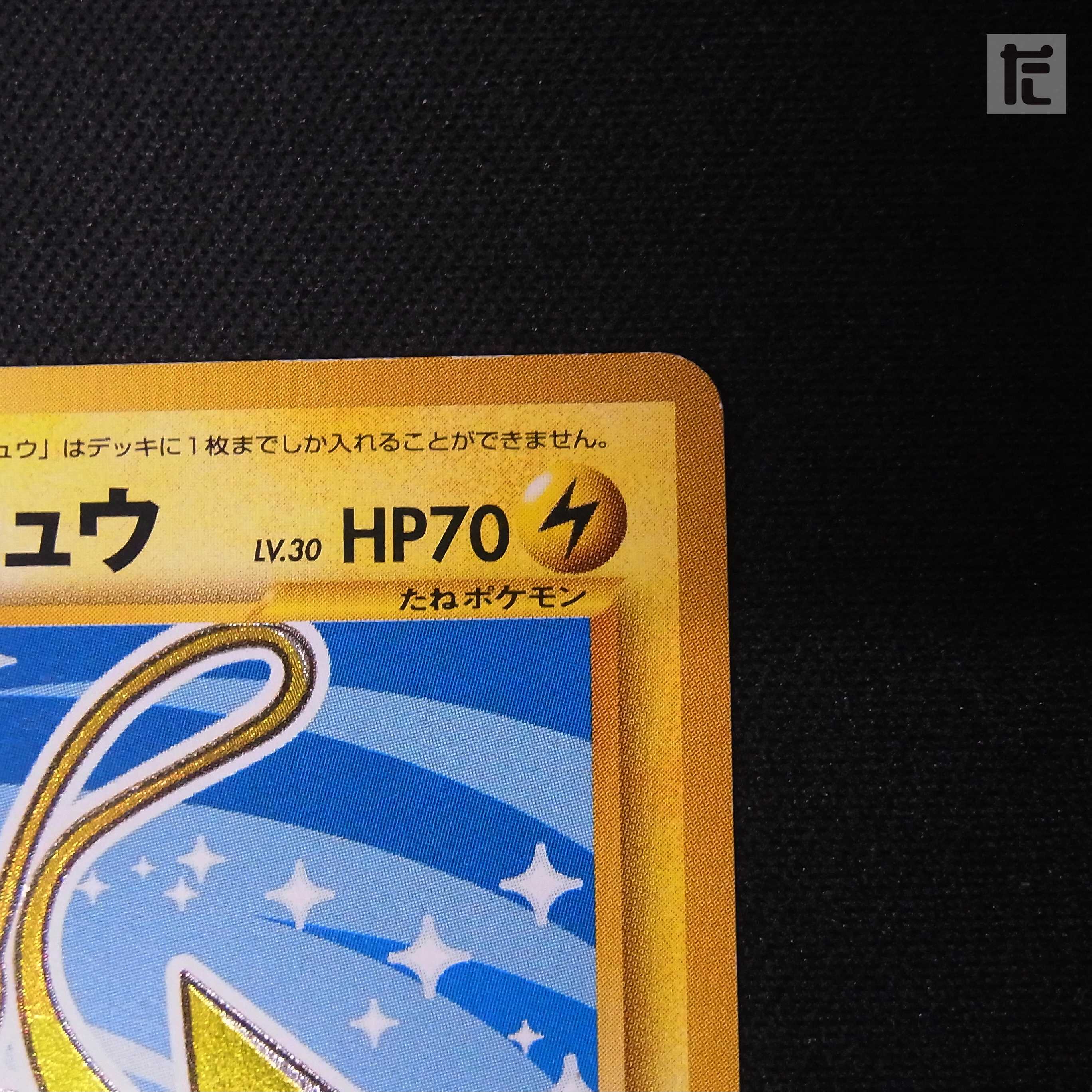 Hikaru Raichu LV.30 [Plaid] Old back/management:▼MP0030