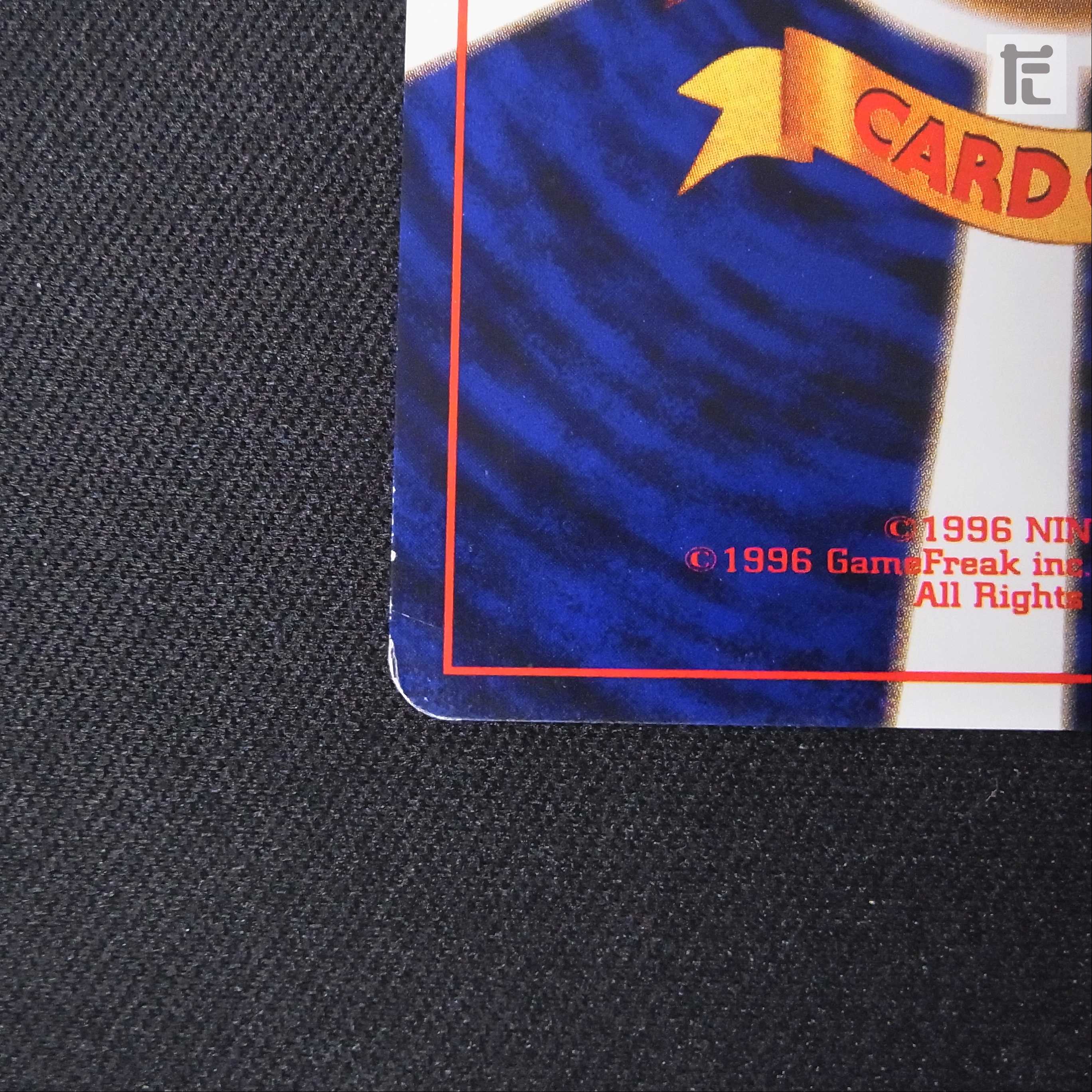 Hikaru Raichu LV.30 [Plaid] Old back/management:▼MP0030