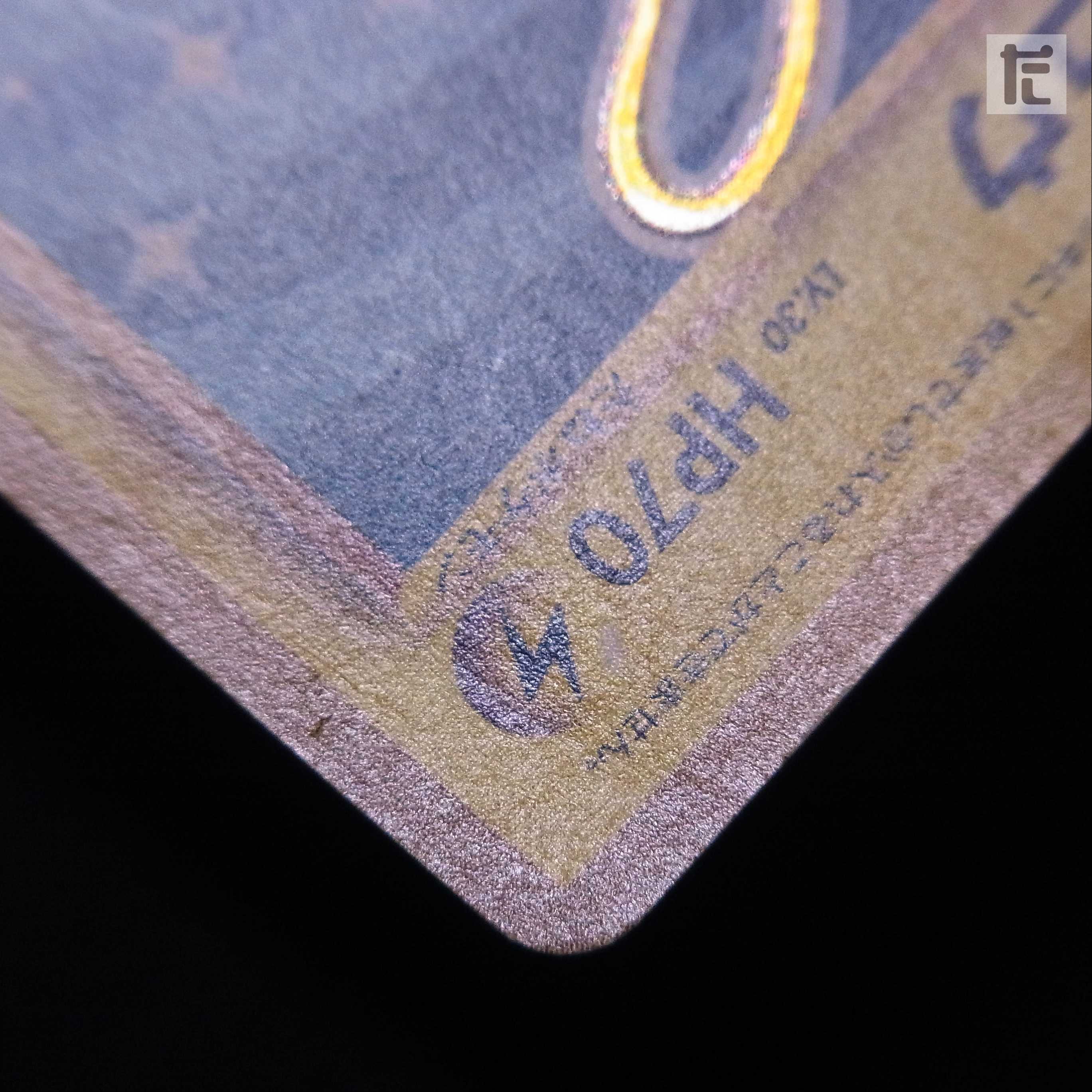 Hikaru Raichu LV.30 [Plaid] Old back/management:▼MP0030