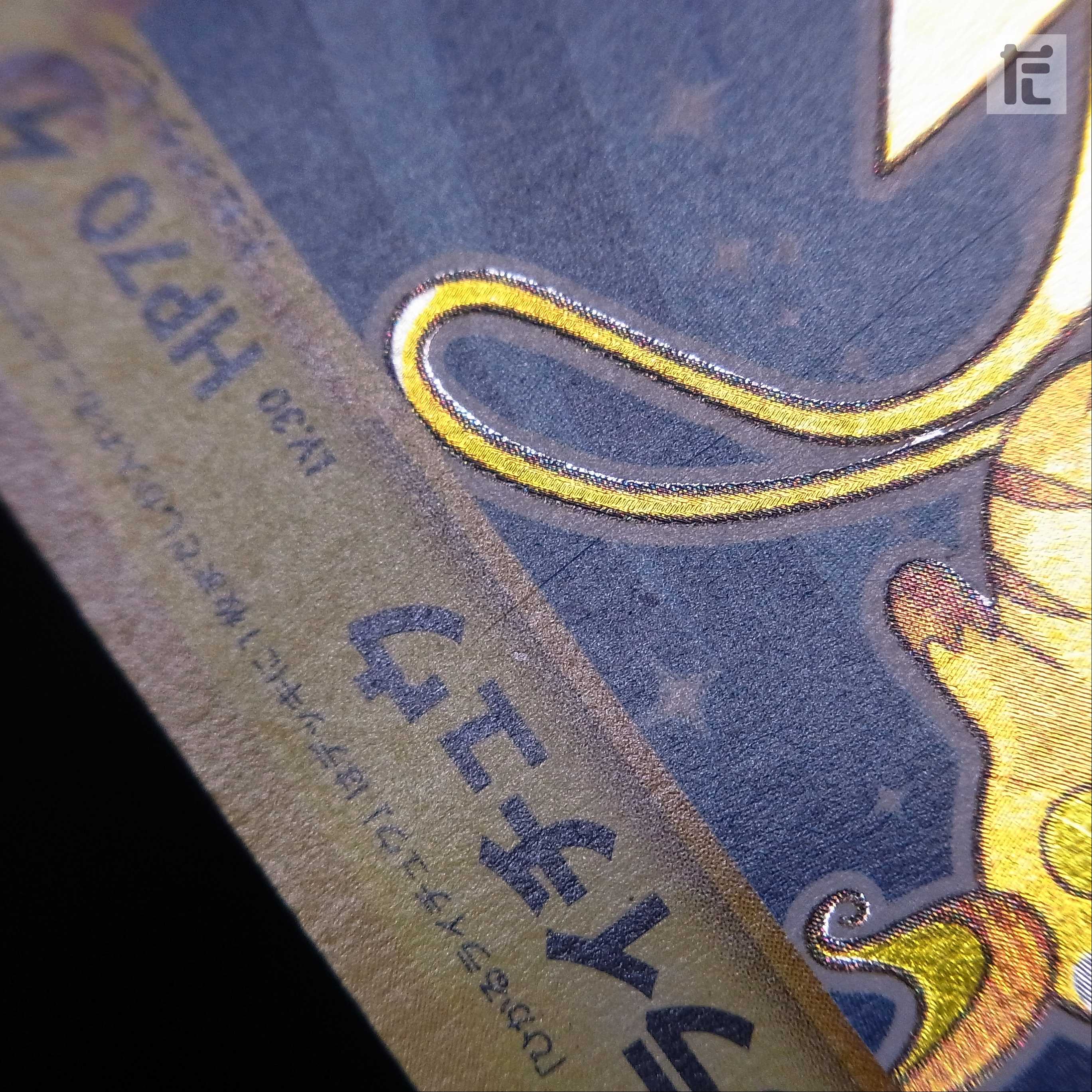 Hikaru Raichu LV.30 [Plaid] Old back/management:▼MP0030