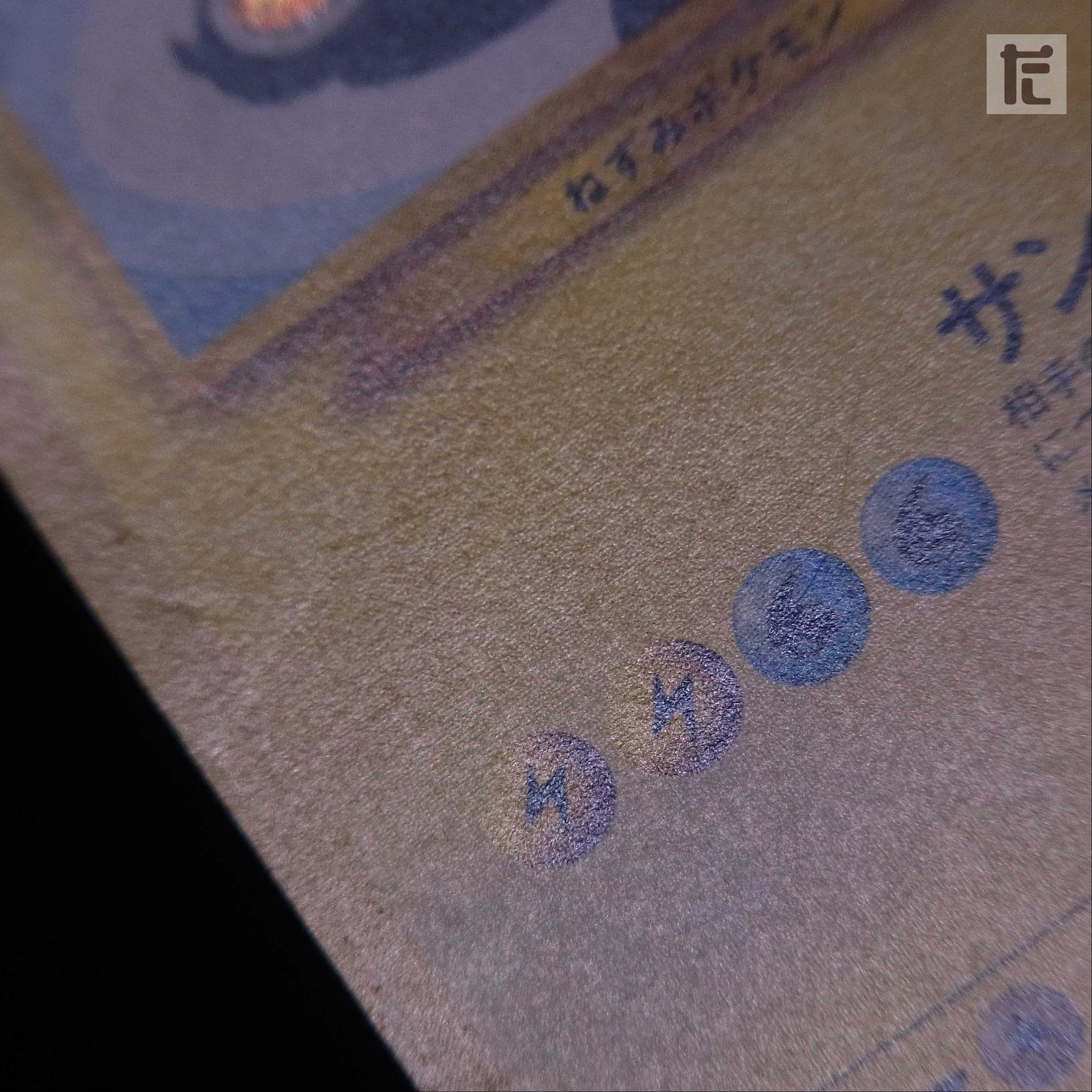 Hikaru Raichu LV.30 [Plaid] Old back/management:▼MP0030