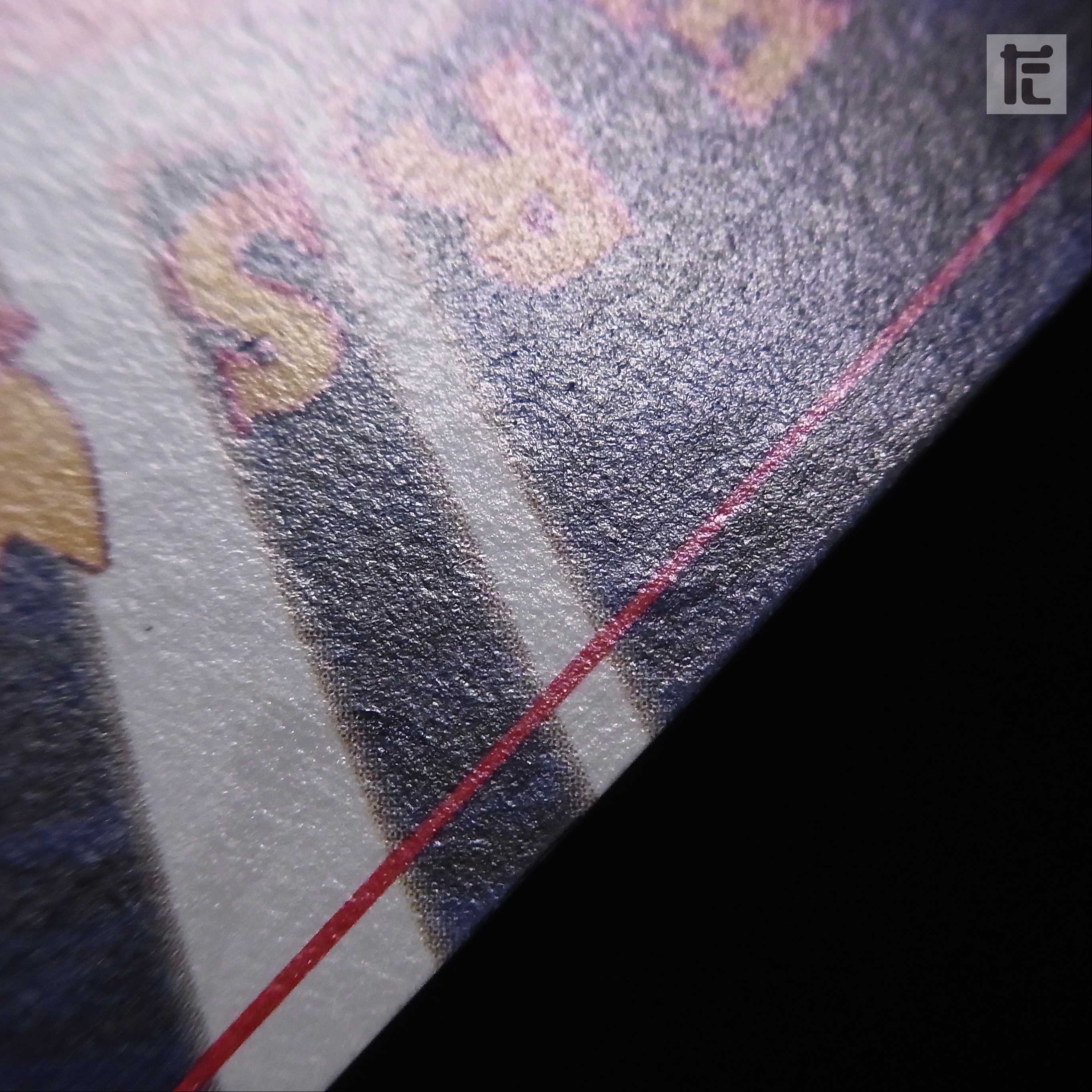 Hikaru Raichu LV.30 [Plaid] Old back/management:▼MP0030