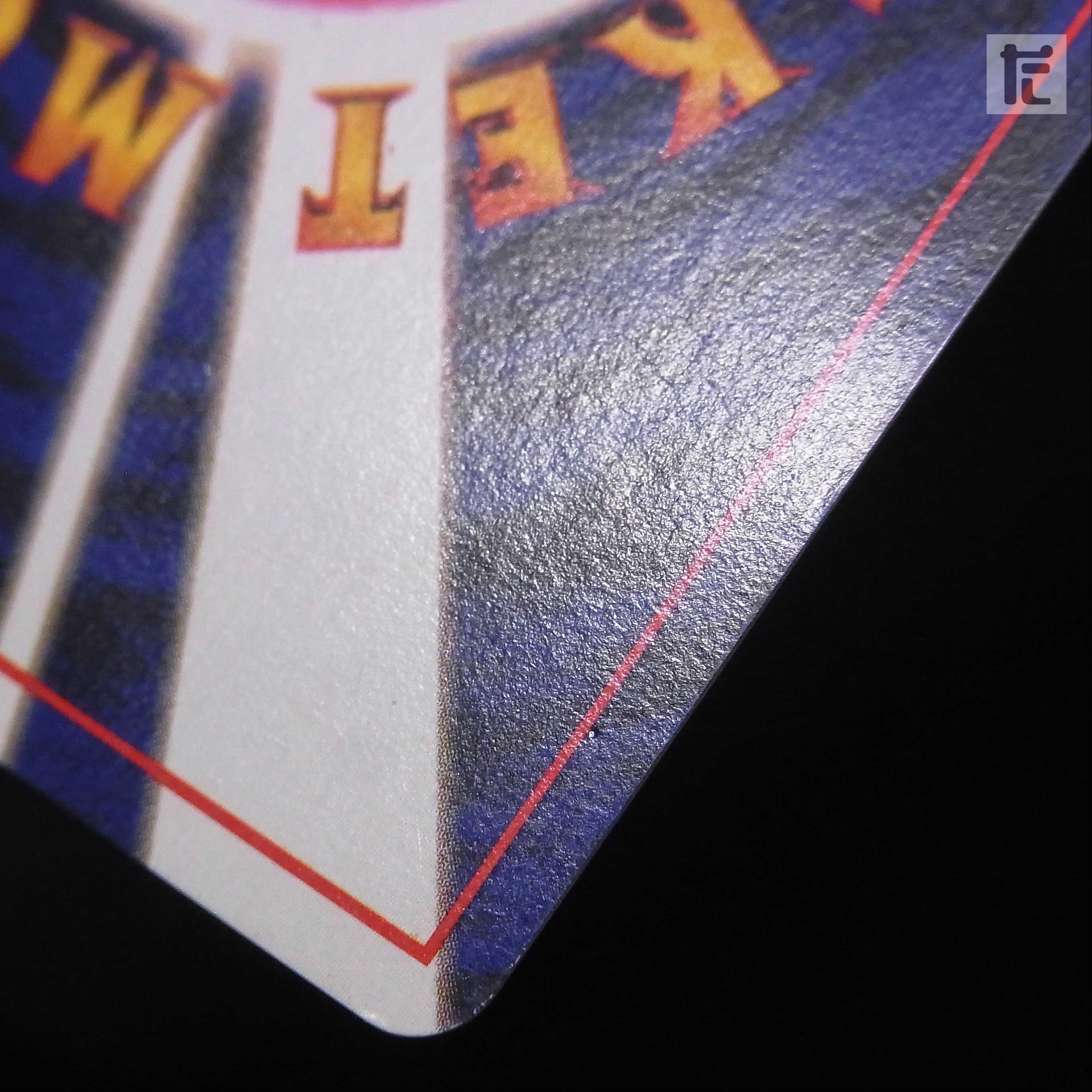 Hikaru Raichu LV.30 [Plaid] Old back/management:▼MP0030