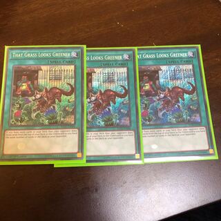 隣の芝刈り EU シク　セット