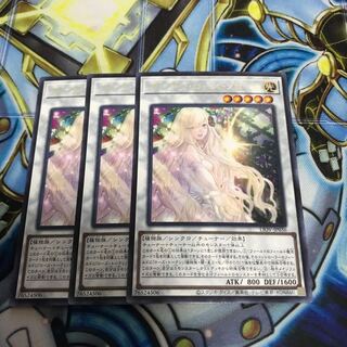 ガーデン・ローズ・フローラ レア　Hulu 3505