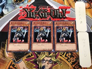 D.D. Warrior Lady 3 Normal, set of 3, Terra