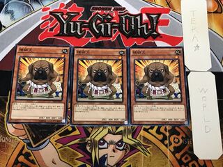 横綱犬2 ノーマル 3枚セット てら