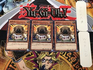 横綱犬 3 ノーマル 3枚セット てら