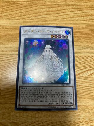 ガーデン・ローズ・メイデン ウルトラレア