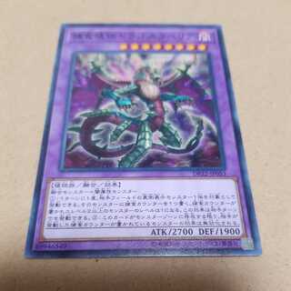 遊戯王 捕食植物ドラゴスタペリア　ノーマル 1枚