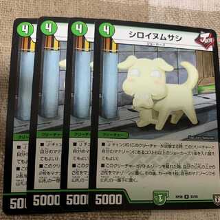 シロイヌムサシ