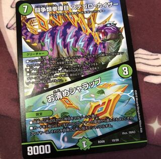 ステゴロ・カイザー