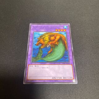 レア・フィッシュ ノーマル 【ユウ整理部】