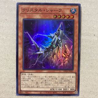 Ku Squirrel Tull Shark Super Rare