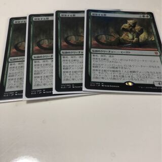 探索する獣　4枚セット