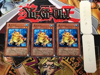 Swap Frog 2 Normal, set of 3 Tera