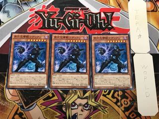 多次元壊獣ラディアン 3 ノーマル 3枚セット てら