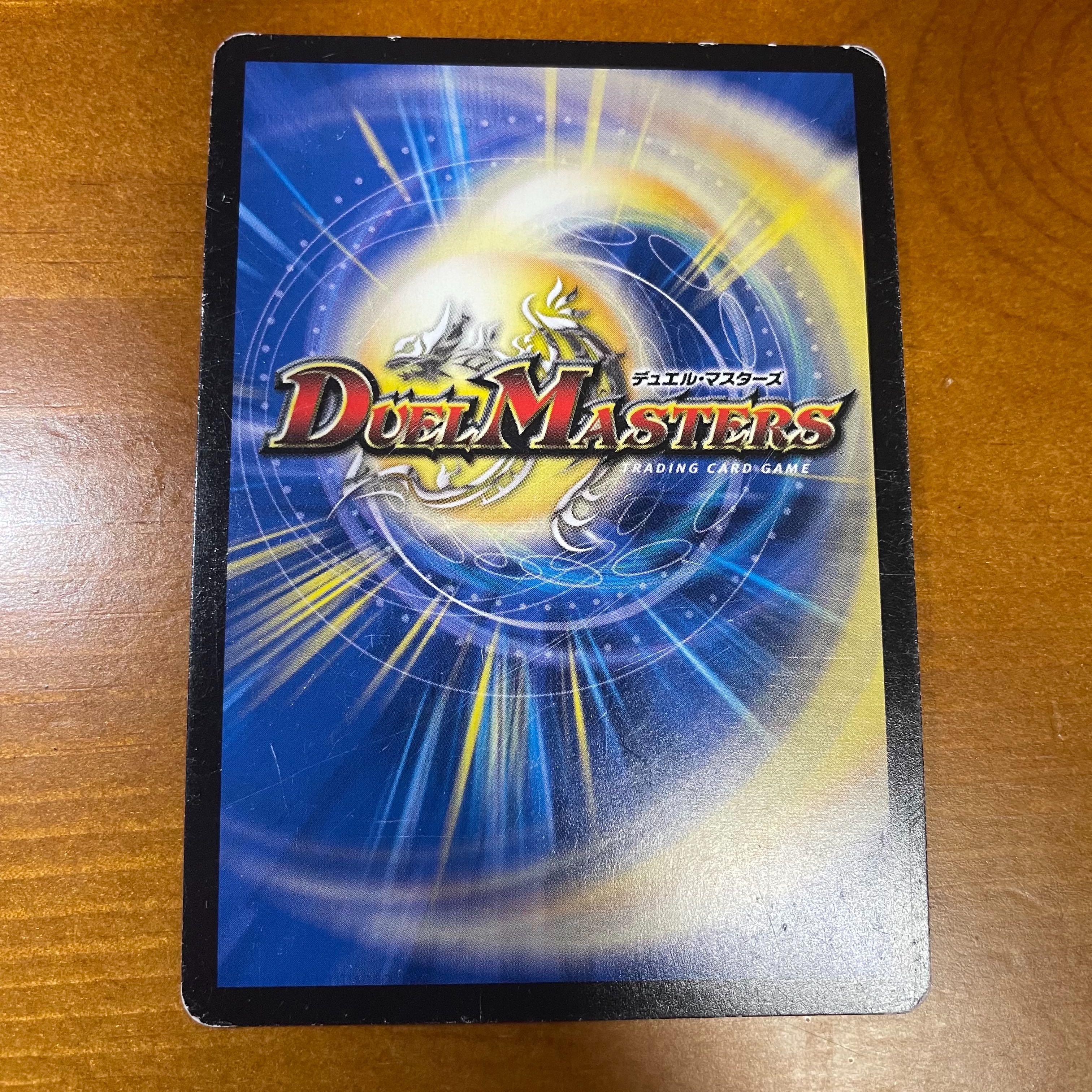 「雷光の聖騎士」