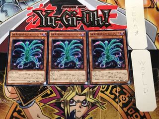 捕食植物セラセニアント 2 ノーマル 3枚セット てら