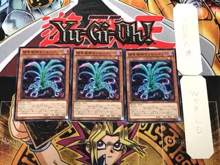 捕食植物セラセニアント 3 ノーマル 3枚セット てら