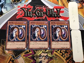 限界竜シュヴァルツシルト 2 ノーマル 3枚セット てら