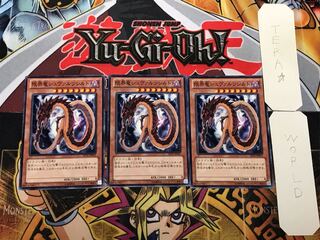 限界竜シュヴァルツシルト 3 ノーマル 3枚セット てら