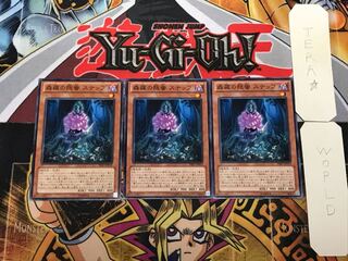 森羅の隠蜜 スナッフ 2 ノーマル 3枚セット てら