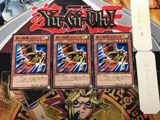 Garuda the Wind Spirit 2 Normal, set of 3 Tera