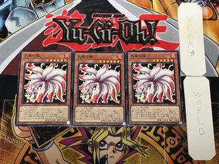 九尾の狐 1 ノーマル 3枚セット てら