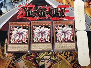 九尾の狐 2 ノーマル 3枚セット てら
