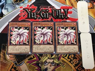 九尾の狐 3 ノーマル 3枚セット てら