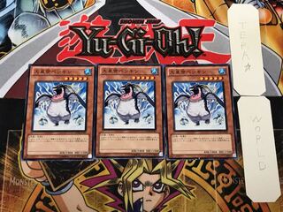 大皇帝ペンギン 1 ノーマル 3枚セット てら