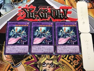 月光舞豹姫 3 ノーマル 3枚セット てら