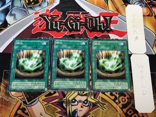 孵化 2期ver 1 ノーマル 3枚セット てら