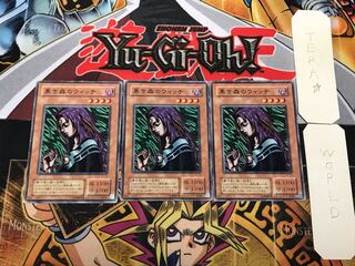 Witch of the Black Forest 2nd season ver 2 Normal 3 piece set Terra