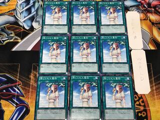 Forbidden Chalice 2 Normal 9-Piece Set Terra