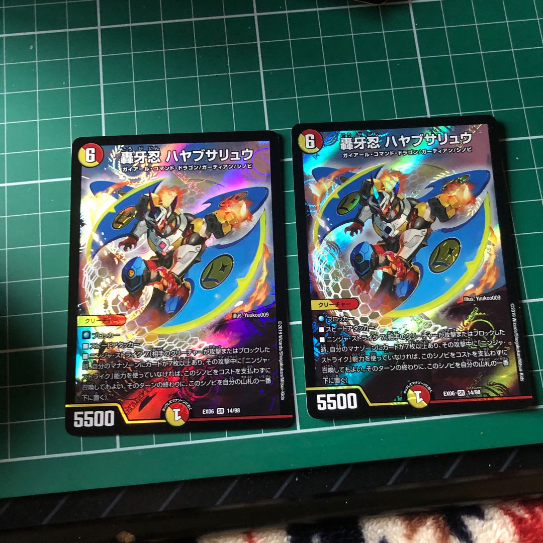 ハヤブサリュウ