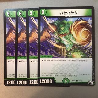 Eurya japonica (species of evergreen related to sakaki)