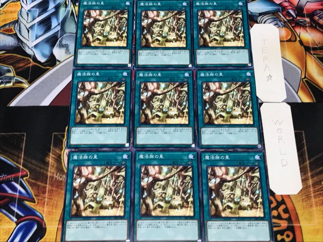 Secret Village of the Spellcasters 1 Normal 9-card set Tera